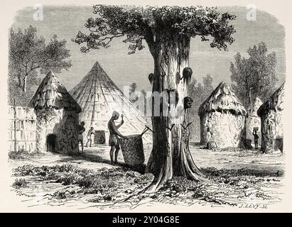 L'arbre de la guerre. Vieux village de Djour, région de Bahr-el-Gazal, Soudan. Afrique, dessin de Karl Girardet (1813-1871) voyage vers la rivière Gazelles, Nil Blanc, 1856-1857 par Angelo Bolognese. Le Tour du monde 1862 Banque D'Images