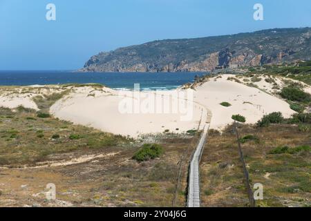 Vue sur les dunes de sable avec un peu de végétation, derrière eux la mer et les rochers, ciel clair passerelle, dune itinérante, Duna da Cresmina, système de dunes Guincho-C. Banque D'Images