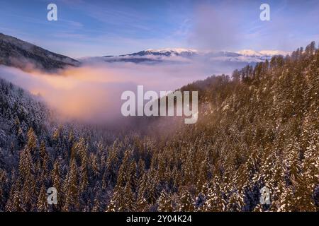 Paysage d'hiver de couleur rose avec vue sur le coucher de soleil, des pins et de la neige des montagnes Banque D'Images