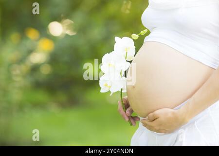 Beau ventre de jeune femme enceinte sur fond vert de printemps. Concentrez-vous sur la fleur, la faible profondeur des champs Banque D'Images