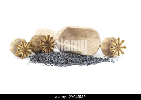 Pelle en bois avec des graines de pavot près des gousses de graines sèches isolées sur fond blanc, pleine profondeur de champ Banque D'Images