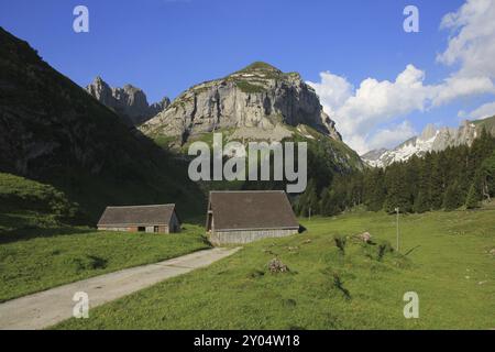 Montagne de la chaîne des Alpstein. Scène estivale dans le canton d'Appenzell, Alpes suisses. Saxer d'abord et paysage rural Banque D'Images