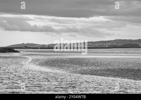 Train de classe 195 de la CAF traversant le viaduc d'Arnside à travers l'estuaire de la rivière Kent sur la pittoresque ligne de chemin de fer de la côte Cumbrienne Banque D'Images