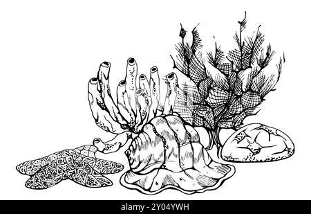 La vie marine, l'océan sous-marin créatures poissons, coquillages algues algues, encre et stylo dessin à la main. Illustration de composition, stylisée, isolée sur Illustration de Vecteur