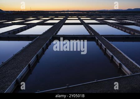 Coucher de soleil, salinas de Levante, Salobrar de Campos, ses Salines, Majorque, îles baléares, espagne Banque D'Images