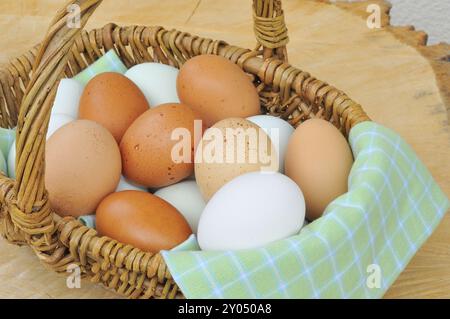 Oeufs de poule dans un panier bast Banque D'Images