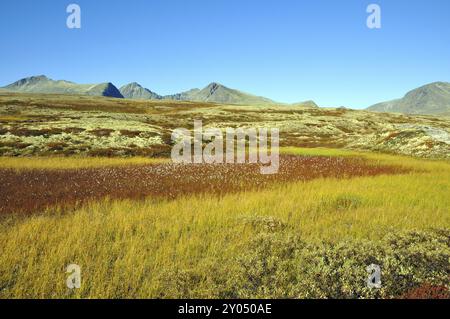 Parc national de Rondane en Norvège, en automne Parc national de Rondane en Norvège, en automne Banque D'Images