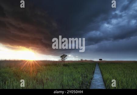 Soleil avant la tempête de pluie sur le chemin en bois à la tour d'observation Banque D'Images