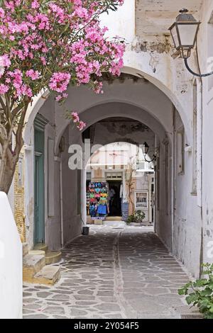 Allée dans la vieille ville, Parikia, Paros, Clyclades, Grèce, Europe Banque D'Images