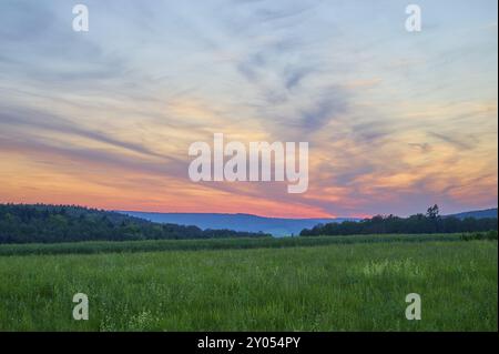 Champ vert avec des arbres en arrière-plan sous un coucher de soleil dramatiquement illuminé, le ciel est baigné de tons orange et bleu, été, Moenchberg, Mlte Banque D'Images