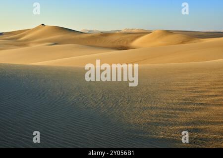 Dunes de sable sans fin dans un désert sous un ciel bleu clair, Matruh, Grande mer de sable, désert libyen, Sahara, Egypte, Afrique du Nord, Afrique Banque D'Images