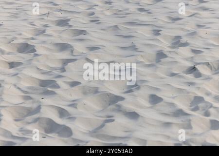 Dune de sable avec ondulations, près de Oerd, île d'Ameland, Frise, pays-Bas Banque D'Images