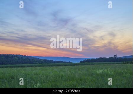 Champ vert avec des arbres en arrière-plan sous un coucher de soleil dramatiquement illuminé, le ciel est baigné de tons orange et bleu, été, Moenchberg, Mlte Banque D'Images