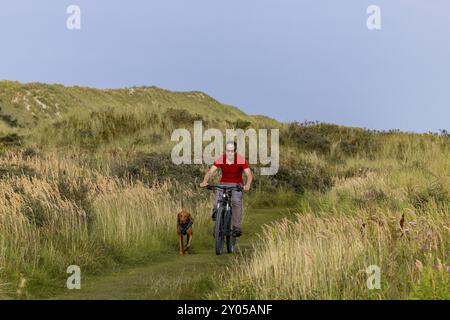 Vététiste avec son chien de traîneau sur un seul sentier dans les dunes, chien Vizsla sur un vélo, île d'Ameland, Frise, pays-Bas Banque D'Images