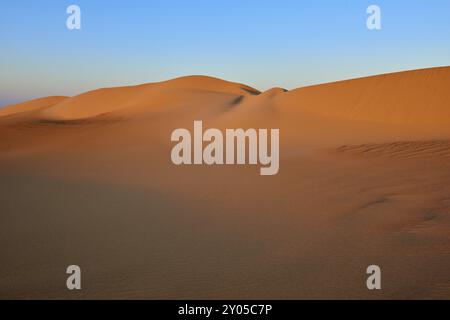 Dunes de sable avec des vagues douces sous un ciel bleu clair créant une atmosphère calme et vaste, coucher de soleil, Matruh, Grande mer de sable, désert libyen, Sahara, Egypte, Banque D'Images