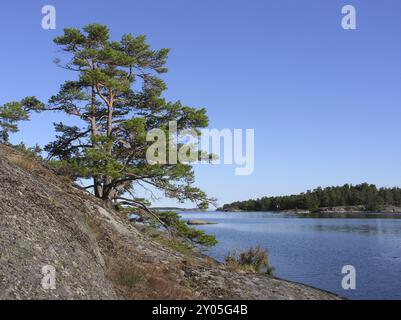 Paysage côtier dans l'archipel suédois près de Vaestervik Banque D'Images