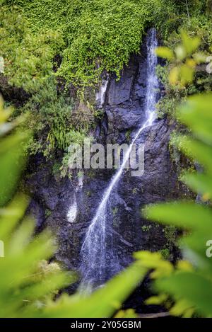 Waterfal appelé le voile de la mariee, Salazie à la Réunion Banque D'Images