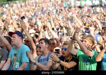 Fans de musique agitant les mains dans l'air, V2012, Hylands Park, Chelmsford, Essex, Grande-Bretagne - 19 août 2012 Banque D'Images