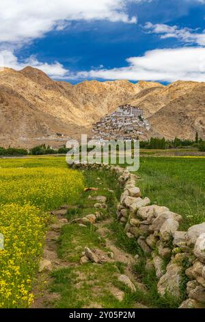 Un ancien monastère tibétain dans un village de Leh, Ladakh avec des champs de moutarde jaune au premier plan. Cliqué le 8 juillet 2024. Banque D'Images