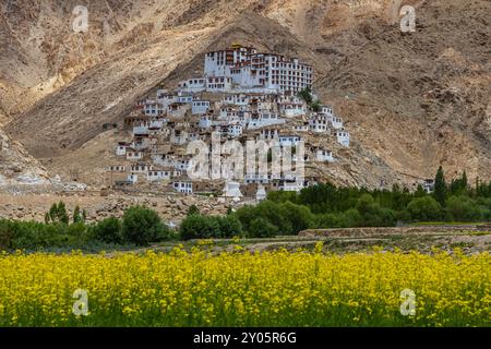 Un ancien monastère tibétain dans un village de Leh, Ladakh avec des champs de moutarde jaune au premier plan. Cliqué le 8 juillet 2024. Banque D'Images