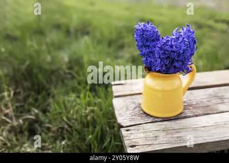 Concept ensoleillé de l'heure de printemps ou de jardinage d'été avec lumineux fleurs en jacinthe bleu-violet dans la carafe ou le vase jaune sur une ancienne table en bois en t Banque D'Images