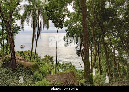 Vue de la baie d'Angra dos Reis sur la côte verte de Rio de Janeiro à travers la végétation de la forêt tropicale Banque D'Images