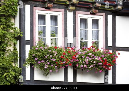 Maisons à colombages à Quedlinbrug, montagnes du Harz Banque D'Images