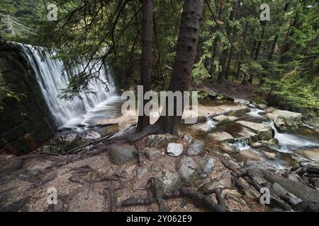 Cascade sauvage (Dziki Wodospad) dans les montagnes de Karkonosze, Karpacz, Pologne, Europe Banque D'Images