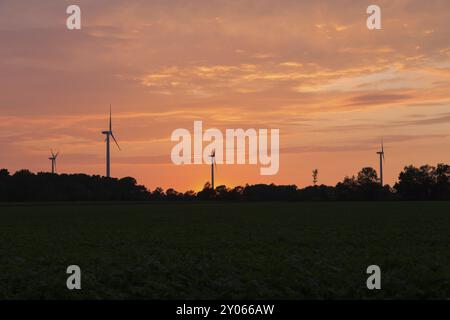 Photographie de centrales éoliennes au coucher du soleil dans le nord de l'Allemagne Banque D'Images