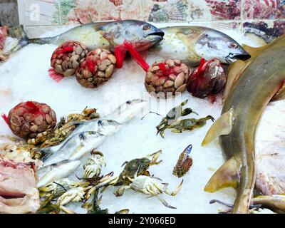 Une variété de fruits de mer frais de poissons, et filet de poisson, crustacés, moules, crabes et crevettes, et d'autres divers fruits de mer mis sur la glace pour être conservés, re Banque D'Images