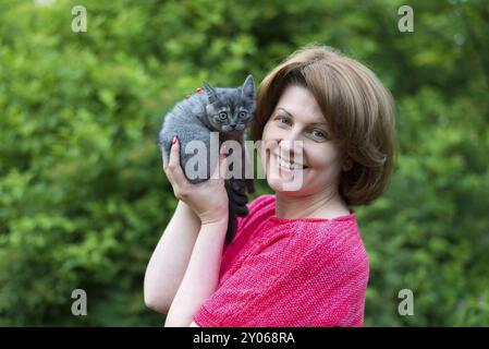 Une femme tient un chaton pur-sang. Scottish Straight Banque D'Images