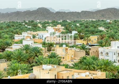 Vieilles rues de la ville arabe de Nizwa cachées parmi les palmiers avec des montagnes en arrière-plan, Nizwa, sultanat Oman Banque D'Images