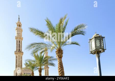 Lanterne éclairage de rue deux palmiers dattiers deux minarets de la mosquée El Mustafa à Sharm El Sheikh sur le fond du ciel bleu Egypte Sud Sinaï Banque D'Images