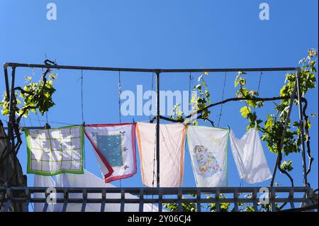 Le linge fraîchement lavé est accroché sur la ligne sur un jardin sur le toit Banque D'Images