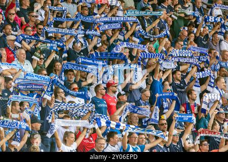 Sports, football, Bundesliga, 2024/2025, VfL Bochum vs. Borussia Moenchengladbach 0-2, stade Vonovia Ruhr, visiteurs, fans de Bochum s'amusent et présentent leurs foulards de club, LA RÉGLEMENTATION DFL INTERDIT TOUTE UTILISATION DE PHOTOGRAPHIES COMME SÉQUENCES D'IMAGES ET/OU QUASI-VIDÉO Banque D'Images