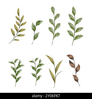 Collection Green and Brown Foliage Leaf branches Illustration de Vecteur