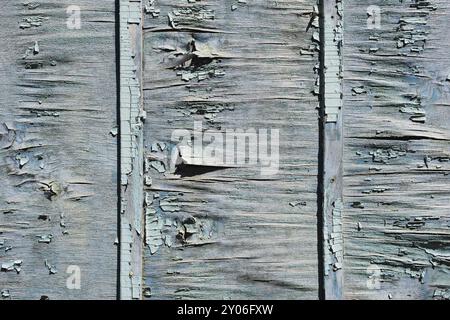 Un grand fond texturé. Peinture bleue exfoliante en gros morceaux manquants sur le revêtement en bois. Le concept de ruine et d'antiquité vintage Banque D'Images