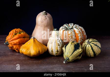 Image d'automne avec différentes variétés de citrouilles Banque D'Images