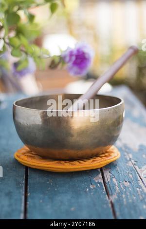 Bol chantant sur un métal vert rustique, table en bois à l'extérieur. Fleurs dans l'arrière-plan flou, coloré Banque D'Images