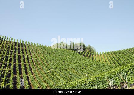 La viticulture dans la vallée de l'Ahr Banque D'Images