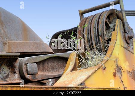 Une plante pousse sur une vieille pelle à charbon dans une mine à ciel ouvert désaffectée Banque D'Images