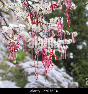 Bracelets de Martenitsa bulgares blancs et rouges, accrochés à la branche de l'arbre de fleur de printemps Banque D'Images