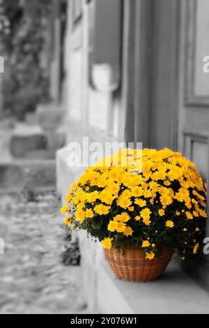 Fleurs en fleurs devant une porte d'entrée à Quedlinburg Banque D'Images