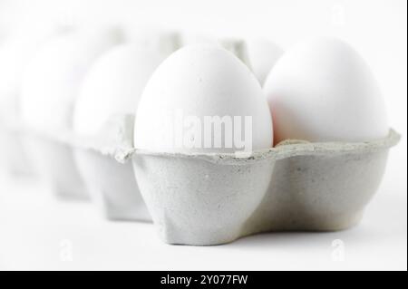 10 œufs de poule dans un carton de transport sur fond blanc Banque D'Images