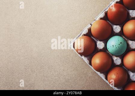 Un oeuf bleu parmi les oeufs bruns dans la boîte de carton, espace de copie Banque D'Images