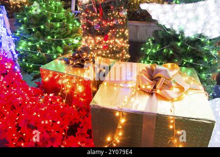 Jardin décoré et éclairé pour Noël et pour le réveillon du nouvel an la nuit Banque D'Images