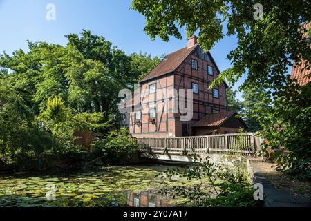 Klosterteich, Wienhausen, basse-Saxe, Allemagne, moulin à eau, - le clocher de Marie, Europe Banque D'Images