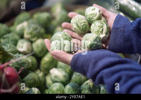 Une femme main avec des choux de bruxelles biologiques cultivés localement dans un étal de légumes d'une épicerie de marché fermier en Colombie-Britannique, au Canada, en Amérique du Nord Banque D'Images