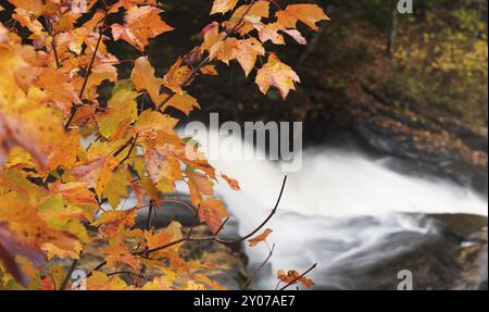 Cascade cascade chute nature paysage. Stubbs Falls, Parc provincial Arrowhead, Ontario, Canada, Amérique du Nord Banque D'Images