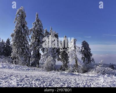 Hiver dans le Taunus Banque D'Images